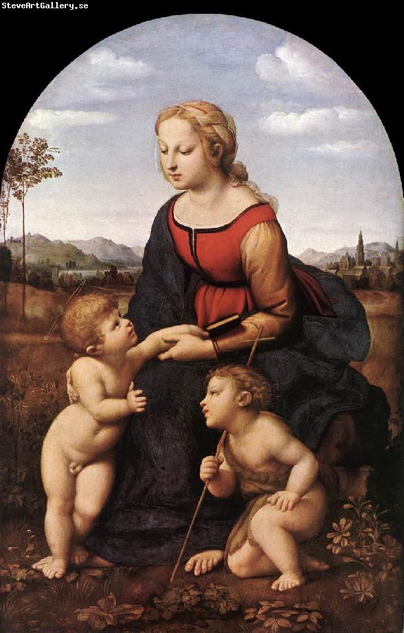 RAFFAELLO Sanzio The Virgin and Child with Saint John the Baptist (La Belle Jardinire)  af